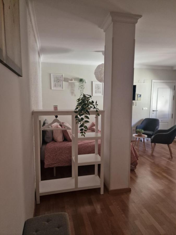 Picasso Apartment マラガ エクステリア 写真